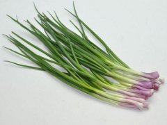 紅頭蔥