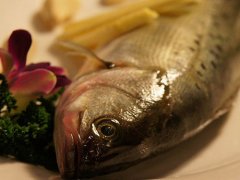 鱸魚(yú)